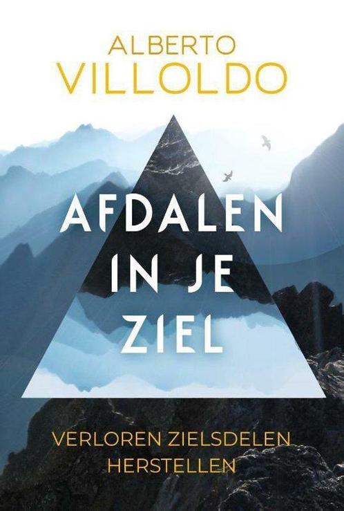 9789020218596 Afdalen in je ziel | Tweedehands, Boeken, Studieboeken en Cursussen, Zo goed als nieuw, Verzenden