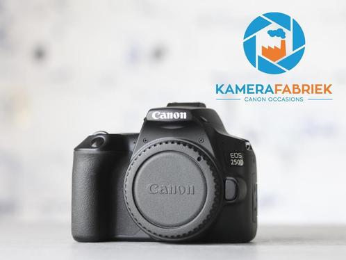 Canon EOS 250D - 8.000 clicks! - Incl. 1 jaar garantie!, Audio, Tv en Foto, Fotocamera's Digitaal, Spiegelreflex, Zo goed als nieuw