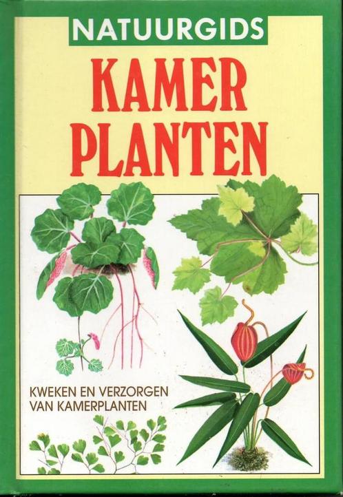 KAMERPLANTEN - KWEKEN EN VERZORGEN VAN KAMERPLANTEN /, Boeken, Wetenschap, Zo goed als nieuw, Verzenden