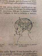 Giuseppe Ziino - Compendio di medicina legale e, Antiek en Kunst