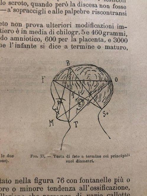 Giuseppe Ziino - Compendio di medicina legale e, Antiek en Kunst, Antiek | Boeken en Bijbels