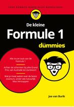 De kleine Formule 1 voor Dummies 9789045356914 Joe van Burik, Boeken, Gelezen, Joe van Burik, Verzenden