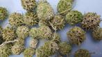LIQUIDAMBAR GREEN WASH +/- 150 gr Heel mooi, Ophalen of Verzenden, Nieuw