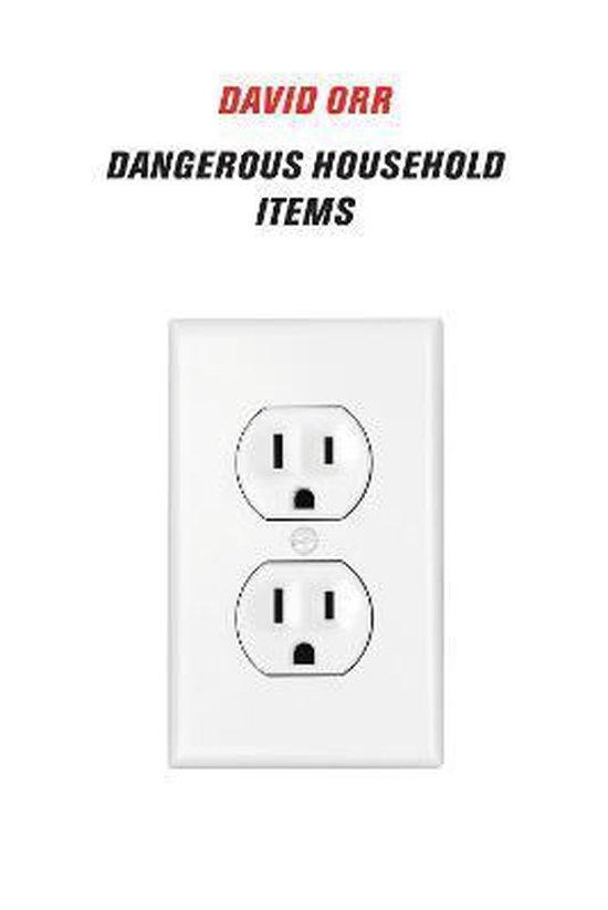 Dangerous Household Items 9781556595479 David Orr, Boeken, Taal | Engels, Zo goed als nieuw, Verzenden