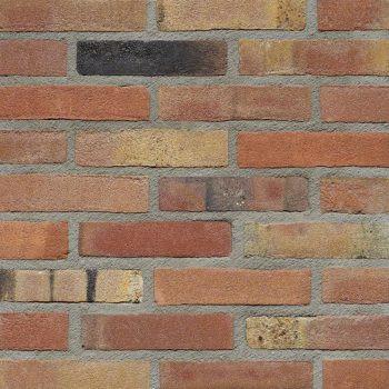 Wienerberger Zeisterbont Vormbak Waalformaat, Doe-het-zelf en Verbouw, Metselstenen, Verzenden