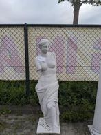 Tuinbeeld Venus, Nieuw