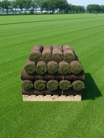 Graszoden laten leggen | Graszoden laten vervangen, Tuin en Terras, Gras en Kunstgras, Nieuw, Gras