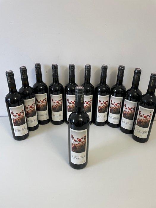 2021 Cantina Giuliano In Campagna - Toscane - 11 Flessen, Verzamelen, Wijnen