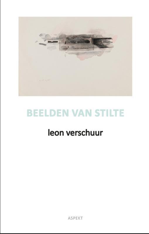 Beelden Van Stilte | 9789464629033 | Verschuur, Leon, Boeken, Literatuur, Nieuw, Ophalen of Verzenden