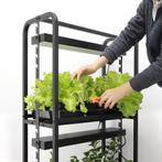 Plantenstandaard met FullSpectrum LEDGroeilampen – 2 Lagen, Tuin en Terras, Kweekspullen, Ophalen of Verzenden, Nieuw