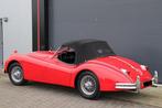 Jaguar - XK140 OTS - 1956