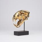 sculptuur, NO RESERVE PRICE - Polished bronze Snow Leopard -