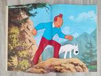 Tintin - Album de vignettes - Tintin et le lac aux requins -, Nieuw