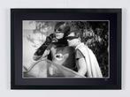 Batman TV Series -  Batman & Robin - Fine Art Photography -, Verzamelen, Nieuw