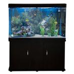 Aquarium 300 L Zwart starterset inclusief meubel - Wit grind, Verzenden, Nieuw