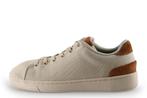 Toms Sneakers in maat 43 Beige | 10% korting, Kleding | Heren, Schoenen, Overige kleuren, Verzenden, Toms, Sneakers of Gympen