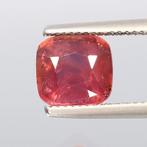 Saffier - 4.05 ct - Asian Institute of Gemological Sciences, Nieuw