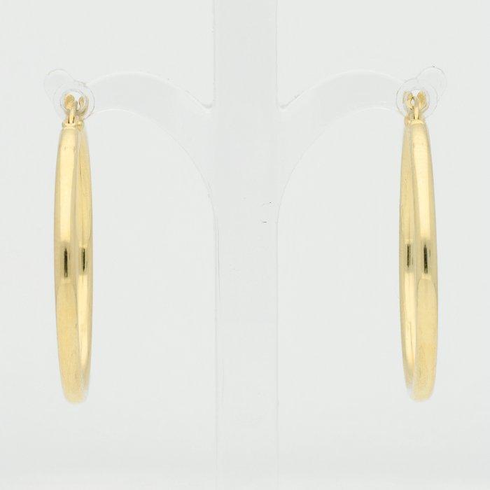 Zonder minimumprijs - Oorbellen - 14 karaat Geel goud, Sieraden, Tassen en Uiterlijk, Oorbellen