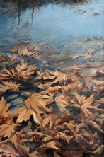 Emre Kinali - Orange leaves