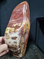 XXL Petrified wood sculpture - HQ - Hoogte: 245 mm -, Verzamelen, Mineralen en Fossielen