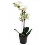 Phalaenopsis Orchidee In Pot 50 cm wit kunstplant - Nova Nat, Nieuw, Verzenden