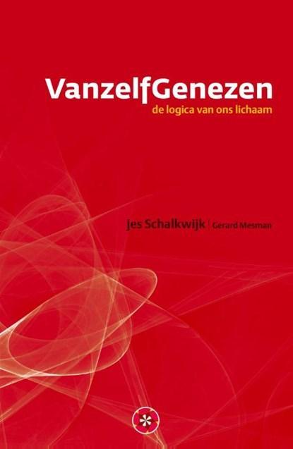 VanzelfGenezen | 9789082055108 | Jes Schalkwijk, Boeken, Gezondheid, Dieet en Voeding, Zo goed als nieuw