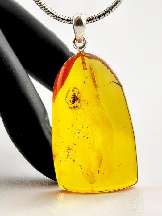 Zeldzame kever in honing Baltisch amber – Opvallende, Antiek en Kunst, Curiosa en Brocante
