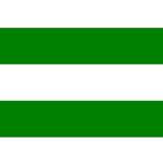 Rotterdamse Vlag Rotterdam, Verzenden, Nieuw