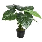 Groene Colocasia/taro kunstplant 52 cm in zwarte pot - Ove.., Huis en Inrichting, Kamerplanten, Ophalen of Verzenden