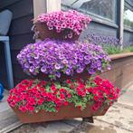 Bloementoren-hoek, 100 cm of meer, Verzenden, Nieuw, Balkon