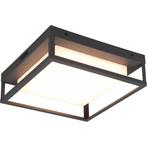 LED Tuinverlichting - Plafondlamp Buitenlamp - Trion Witoll, Tuin en Terras, Nieuw, Ophalen of Verzenden, IJzer, Led