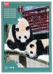 HEMA Ouwehands dierenpark fotopuzzel panda sale