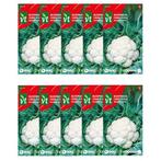 Bloemkool zaad | VT | 10 stuks, Tuin en Terras, Verzenden