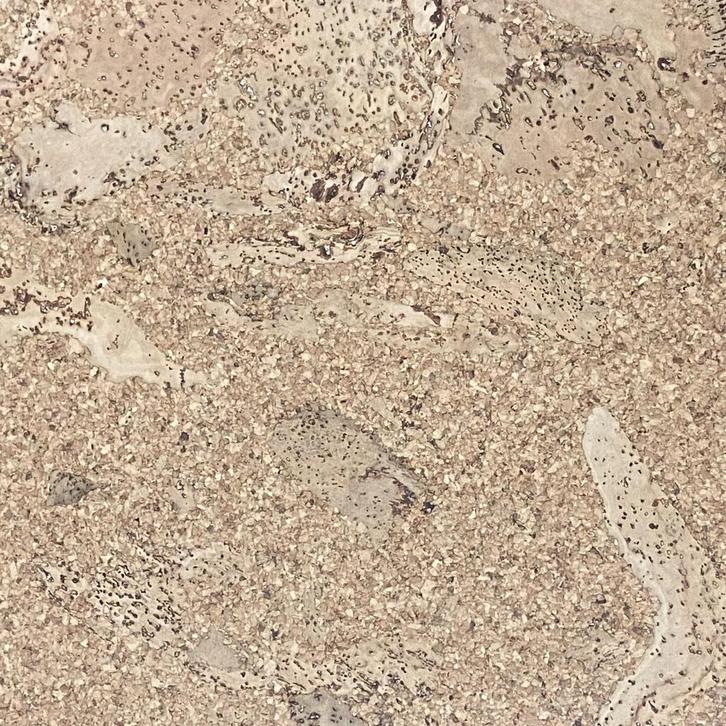 Gelakte plak kurkvloer - Orione - 60 x 30 cm. - per m², Doe-het-zelf en Verbouw, Vloerdelen en Plavuizen, Ophalen of Verzenden
