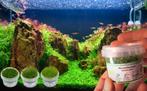 Aquariumplanten In Vitro! ALLE SOORTEN, Mossen, Anubias,, Dieren en Toebehoren, Verzenden, Nieuw, Plant(en), Steen of Hout