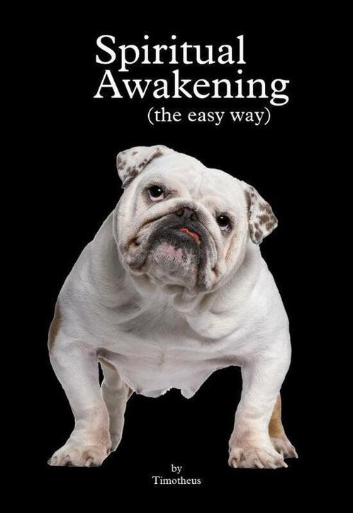 Spiritual Awakening, Boeken, Overige Boeken, Ophalen of Verzenden