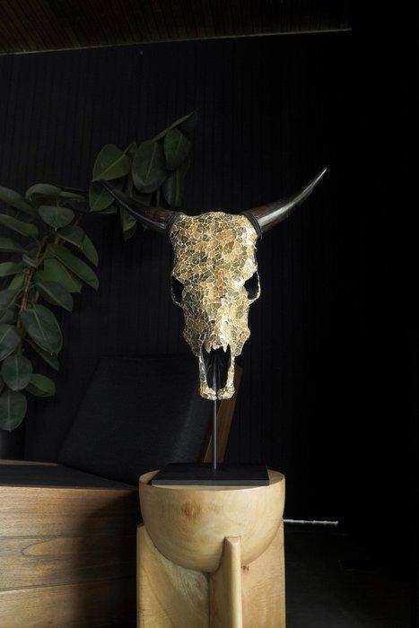 GEEN MINIMUMVERKOOPPRIJS - Prachtige koeienschedel met inleg, Antiek en Kunst, Kunst | Designobjecten
