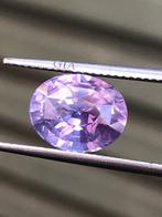 1 pcs Roze, Paars Saffier - 3.99 ct - Gemological Institute, Nieuw