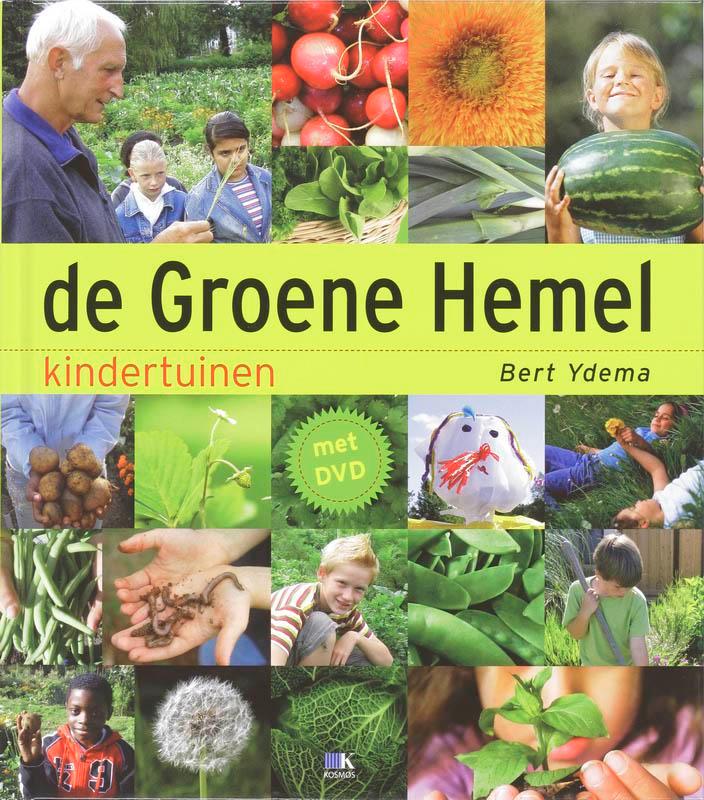 De groene hemel 9789021534077 B. Ydema, Boeken, Hobby en Vrije tijd, Zo goed als nieuw, Verzenden