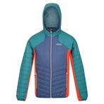 -70% Regatta  Regatta Heren trutton hooded soft shell jacket, Kleding | Heren, Verzenden, Nieuw, Groen