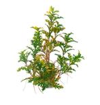 Aquarium kunstplant 50 cm, Groen/geel, Dieren en Toebehoren, Vissen | Aquaria en Toebehoren, Ophalen of Verzenden, Nieuw