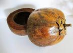 Ijsemmer - Hout - Huls van cocosnoot, Antiek en Kunst