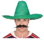 Sombrero Groen Stro 50cm, Verzenden, Nieuw