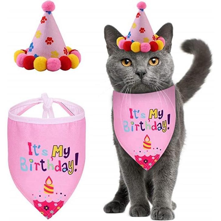 Poezen verjaardagset 2-delig Its my Birthday roze of blauw, Dieren en Toebehoren, Katten-accessoires, Nieuw, Verzenden