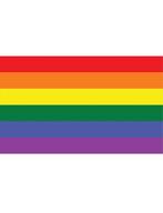 Regenboog vlag 90x150cm, Ophalen of Verzenden, Nieuw