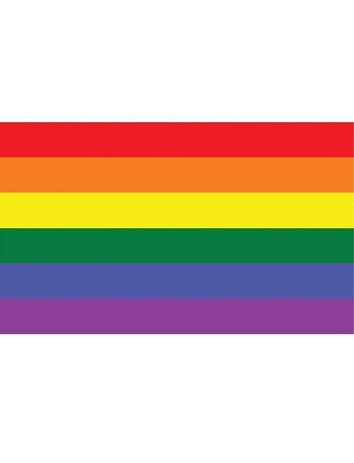 Regenboog vlag 90x150cm, Hobby en Vrije tijd, Feestartikelen, Nieuw, Ophalen of Verzenden