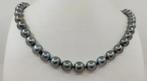 no reserve - ALGT Certified Tahitian Pearls - 8.0x11mm - 14
