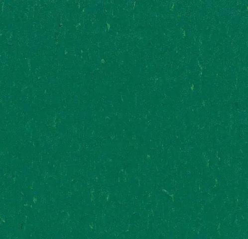 Forbo Marmoleum Piano 3649 greenwood, Huis en Inrichting, Stoffering | Vloerbedekking, Verzenden