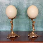 Struisvogelei Ei - Struthio Linnaeus - 370 mm - 160 mm - 170