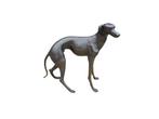 Beeld, Bronze: XL Greyhound Dog - 77 cm - Brons - 2025, Antiek en Kunst